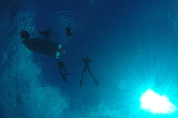 Freediving Fun Dive in Cozumel from Playa del Carmen