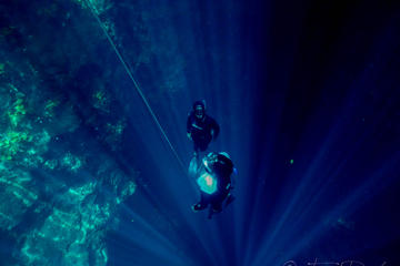 Freediving Level 2 Course in Playa del Carmen