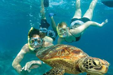 Snorkelling at Semizce