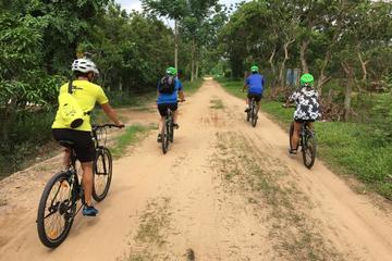 Experience the real Mekong Countryside by Bike - One Day Trip