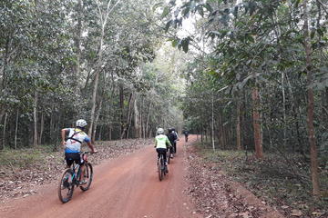 EXPLORING THE FOREST BY BIKES