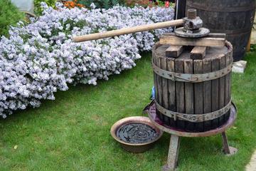 5-Day Tour of the Wineries of Moldova from Chisinau