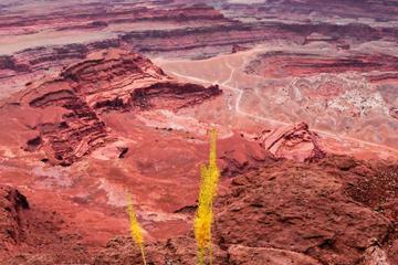 Canyonlands Backcountry 4x4 Half-Day Tour