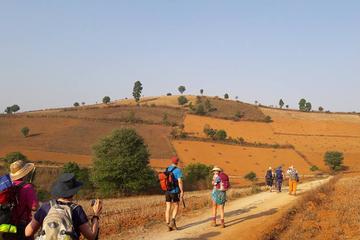 1 Night 2 Days Trek from Kalaw to Inle lake