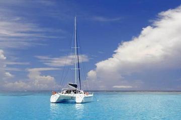 Full-Day Northern Catamaran Cruise: Coin de Mire and Ile Plate Island