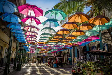 Private Guided Tour of Northern Mauritius with Shopping in Port Louis