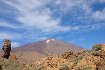 Teide and Puerto de la Cruz Full Day Tour