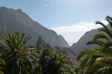 Tenerife Highlights Full-Day Tour
