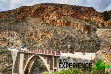 Road Cycling Tenerife