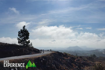 Road Cycling Tenerife - Vilaflor Route