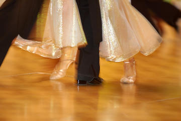 Experience Vienna: Viennese Waltz Dance Lesson for Couples