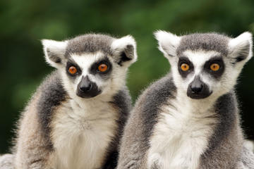 Zoo Salzburg