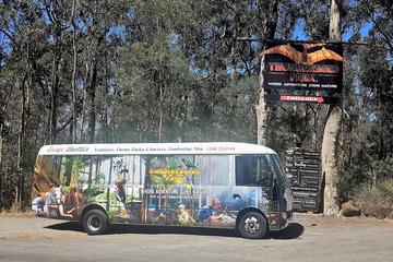 Gold Coast to Treetop Challenge and Thunderbird Park