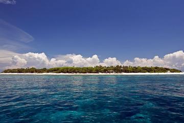Private Balicasag Island with Lunch from Tagbilaran City