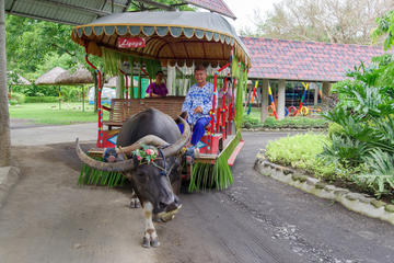 Private Full-Day Shore Excursion Villa Escudero
