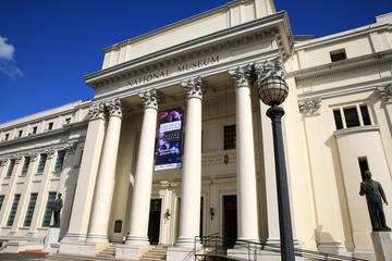 Private Half-Day Shore Excursion Museums in Manila