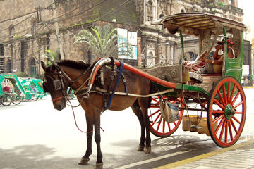 Private Half-Day Shore Excursion Old Manila by Calesa