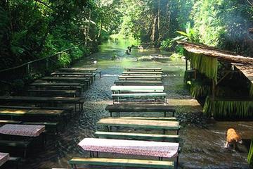 Private Tour: Villa Escudero with Lunch from Manila