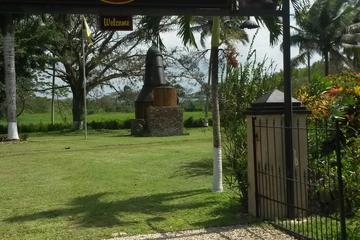 Hampden Rum Factory