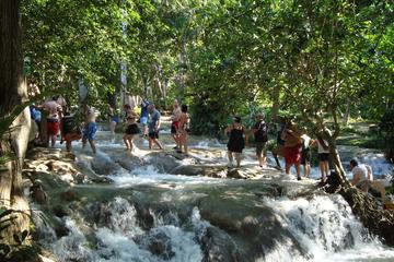 Ocho Rios Special featuring the Falls Botanical Gardens and shopping