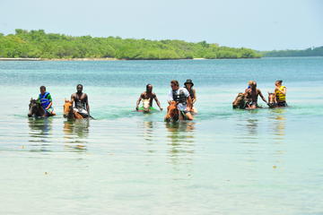 Rhodes Hall Beach Horse Back Ride and Swim
