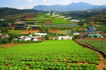 Dalat Countryside with Elephant Waterfall, Paradise Lake, and More