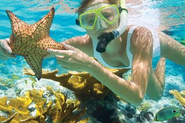 Full-Day Glass-Bottom Boat Tour on Nha Trang Bay
