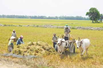 Nha Trang Countryside Biking Safari Full-Day Tour