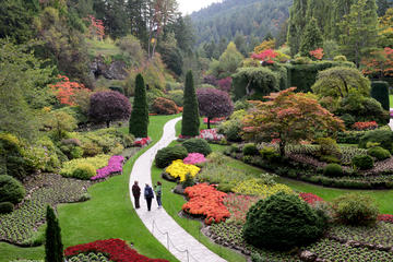 Butchart Gardens Shuttle from Victoria Hotels