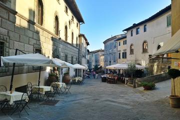 Chianti Dreaming: Private Boutique Winery and Hilltop Village Tour