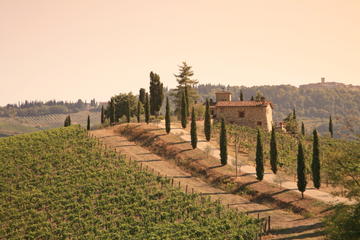 Chianti Half-Day Trip with Traditional Tuscan Dinner and Wine Pairings from Florence