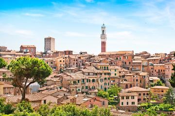 Independent Trip to Siena from Florence with Private Transport