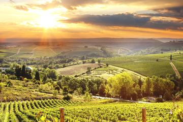 Private Best of Chianti Classico Tour 2 Delicious Wine Tastings and 3 Charming Medieval Villages with Wine and Dine in the Chianti Vineyards