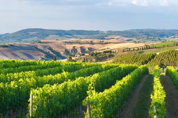 Private Chianti Authentic Experience with Two Delicious Wine Tastings and Two Charming Medieval Villages