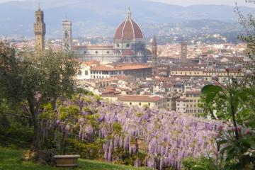 Romantic Michelin-Starred Dinner at Villa Bardini Museum with Spectacular Views of Florence and Exclusive Visit Experience