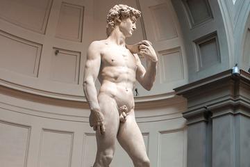 Skip the Line Accademia Gallery Admission and Florence Walking Tour