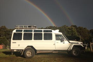 Melbourne Half-Day or Full-Day Private Guide Tour by 4WD Mini Bus