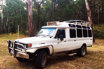 Private Tour: Wombat State Forest Wildlife Safari 4WD Tour from Melbourne