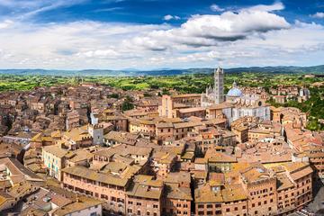 ROME DAY TRIP TO SIENA & PISA private tour and transfer by car