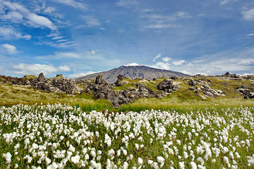 Excursión de un día a la península de Snaefellsjokul desde Reikiavik...