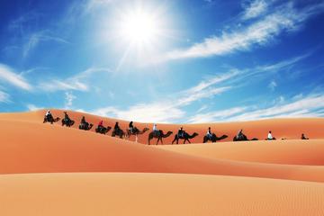Merzouga Camel Trek for an Overnight in desert
