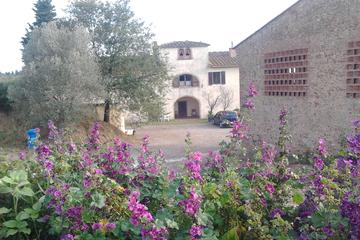 Full-Day Countryside Experience Among the Florence Hills with Barbeque