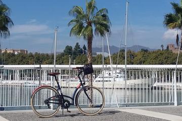 Malaga Nature Bike Tour