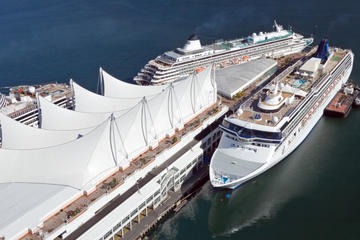Cruiseship Pick up with 2 Hour Private Tour