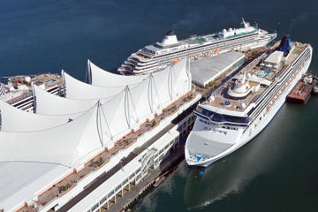 Cruiseship Pick up with 4 Hour Private Tour