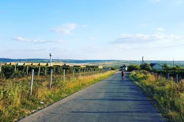 Full Day Bike Tour Orheiul Vechi and Branesti Cellars
