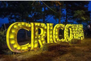 One Day Bike Tour to Cricova Winery
