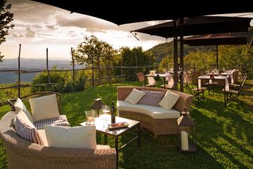 Wine Tasting and Tour in an Organic Winery