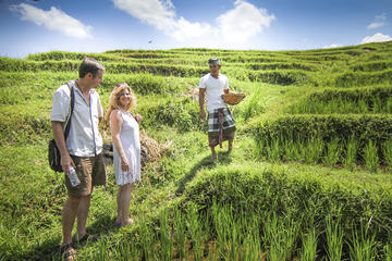 Be Balinese For a Day With a Local