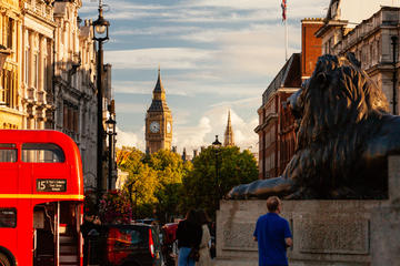 London's Sights & Sounds Private Family Tour
